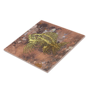 Fossil Fish Ceramic Tile Kakelplatta