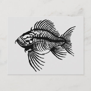 Fossil fisk vykort