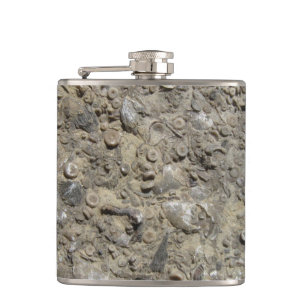 Fossil Hash Limestone Geology Fickplunta