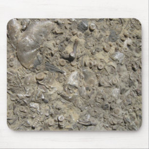 Fossil Hash-utskrift Musmatta