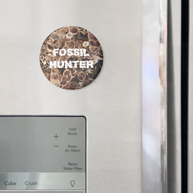 Fossil Hunter Turritella Agate-bild Magnet (In Situ (Fridge))