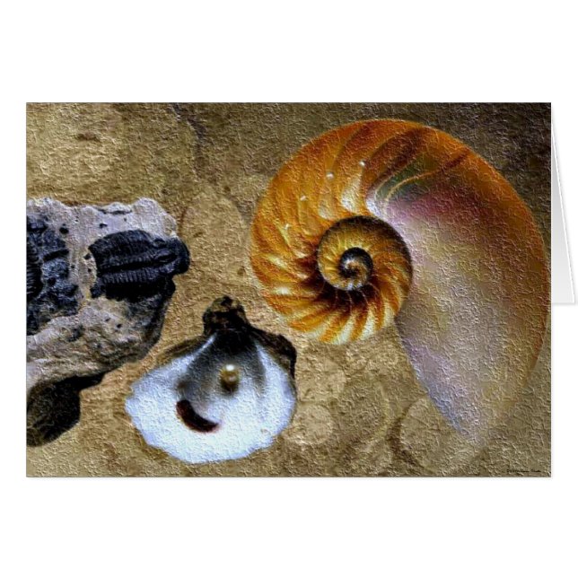 Fossil-kort OBS Kort (Framsidan Horizontal)