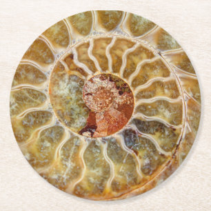 Fossil- kustfartyg för Ammonite Underlägg Papper Rund