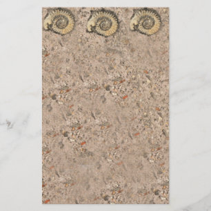 Fossil-lager Brevpapper