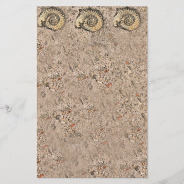 Fossil-lager Brevpapper (Framsida)