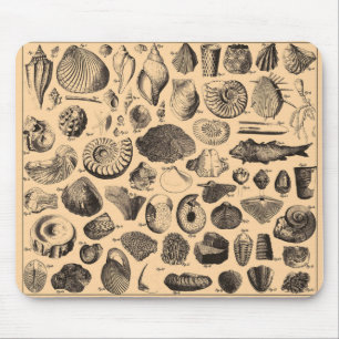 Fossil- Mousepad Musmatta