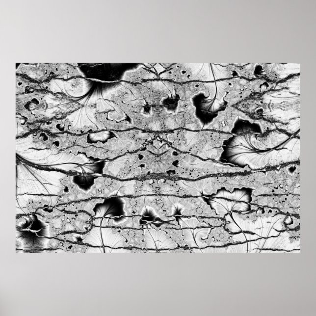 Fossil Poster (Framsidan)