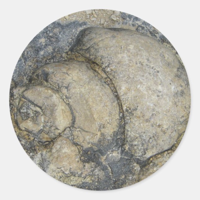 Fossil Runt Klistermärke (Framsida)