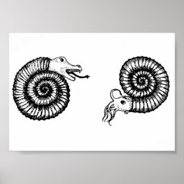 Fossil: Snakestone eller Ammonite? Poster