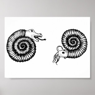 Fossil: Snakestone eller Ammonite? Poster