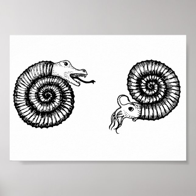 Fossil: Snakestone eller Ammonite? Poster (Framsidan)