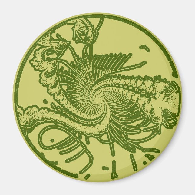 Fossil ver. 4 magnet (Framsidan)