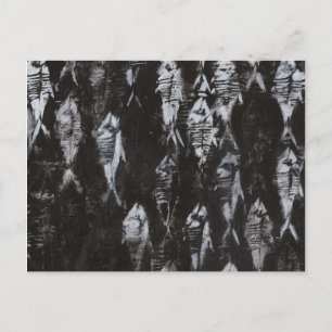 Fossil White Fish on Black Background Vykort