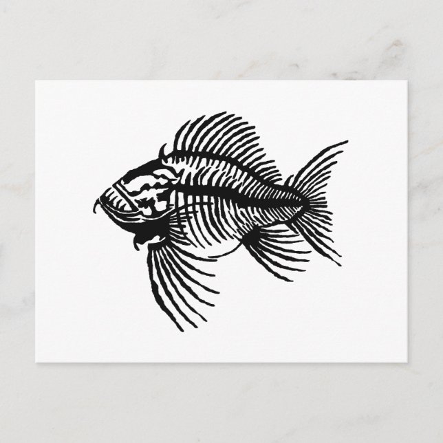 Fossilfisk Vykort (Framsida)