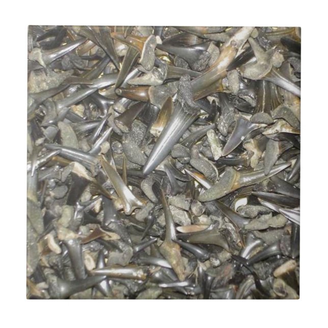 Fossilhajtänder mönster kakelplatta (Framsidan)