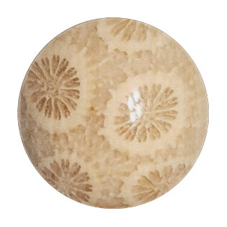 Fossiliserad korallutskrift