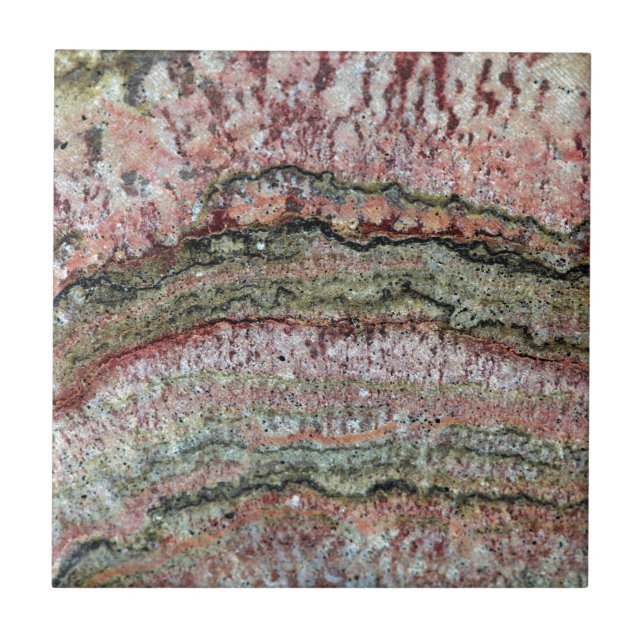 Fossilized Stromatolites Kakelplatta (Framsidan)