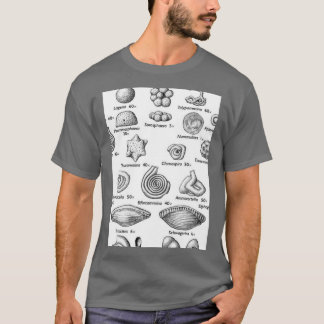 Fossils paleontologists t shirt