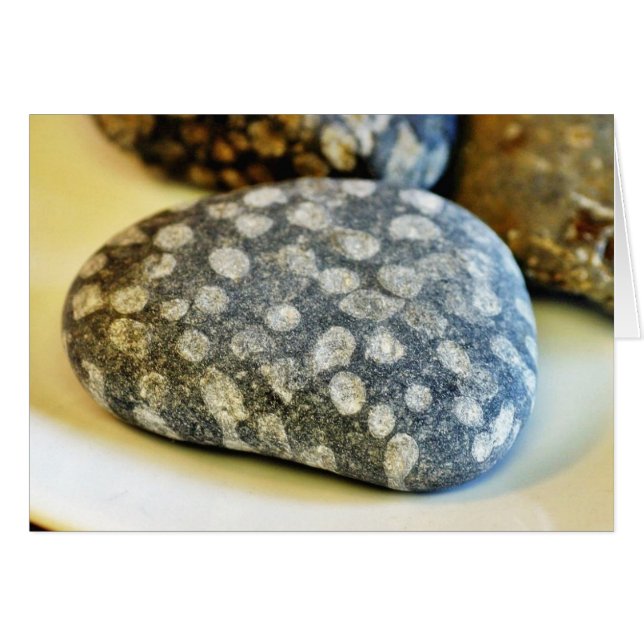 Fossils Sten Coral Hälsningskort (Framsidan Horizontal)