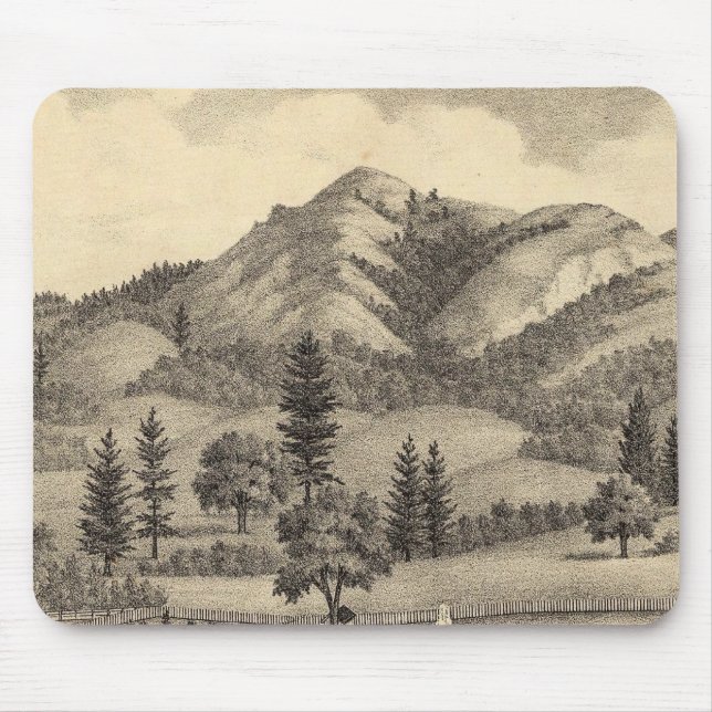 Fossville Res av Clark Foss, Knight Valley Musmatta (Framsidan)