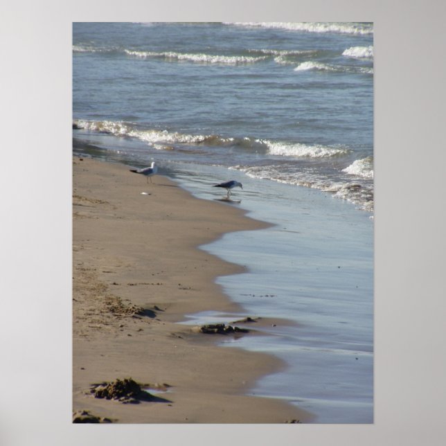 Foster Beach Poster (Framsidan)