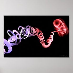 Foster med en navelsträng som göras av DNA, Poster