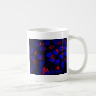 Foster- stemceller för människa kaffemugg