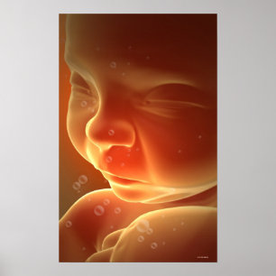 Foster- utveckling 4 poster