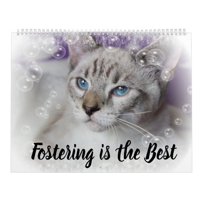 FOSTERING KITTENS IS THE BEST KALENDER (Omslag)