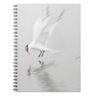 Fosters Tern under flygning Anteckningsbok Med Spiral