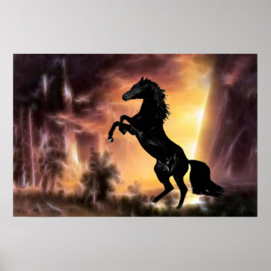 Fostra för Friesianhingsthäst Poster