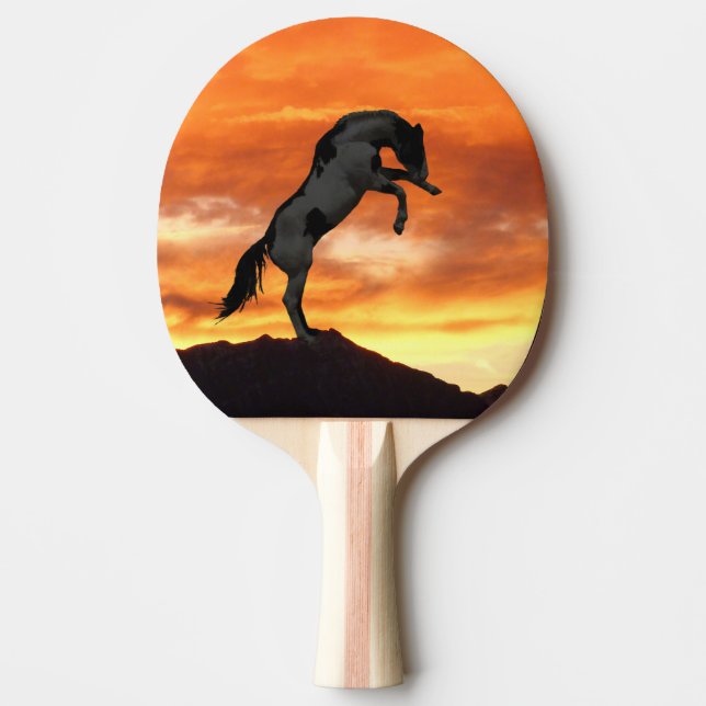 Fostra hästpingen Pong paddla Pingisracket (Framsidan)