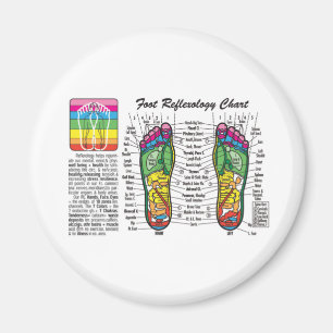 Fot-Massage-Reflexology Magnet