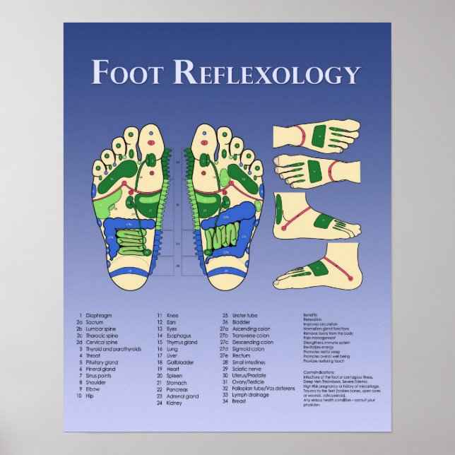 Fot Reflexology Chart - Blue Poster (Framsidan)