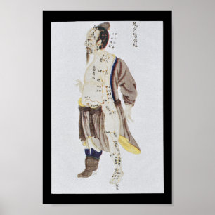 Fot Shaoyang för akupunkturgallblåsaMeridian Poster