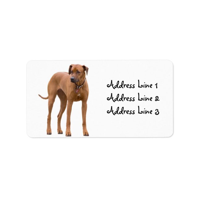 Fotadressetikett för Rhodesian Ridgeback-Hund Adressetikett (Framsidan)