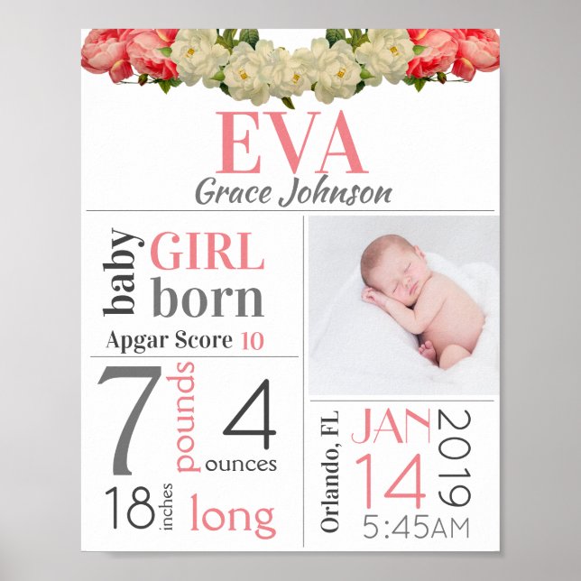 Fotavtryck för Rosa av fotavtryck för  Birth Stat  Poster (Framsidan)