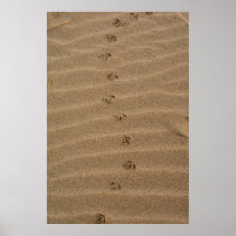 Fotavtryck i sand