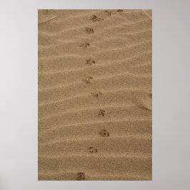 Fotavtryck i sand poster