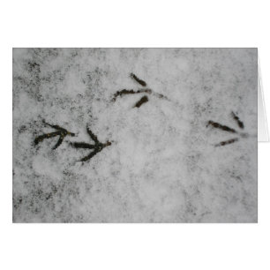 Fotavtryck i Snö Hälsningskort