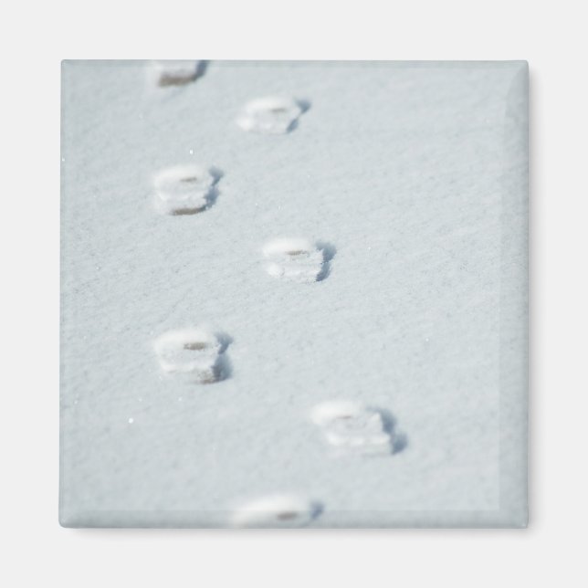 Fotavtryck i Snö Magnet (Framsidan)