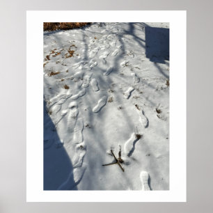 Fotavtryck i Snö Poster