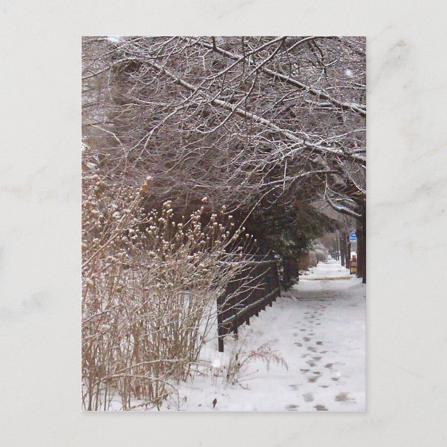 Fotavtryck i snö. vykort (Framsida)