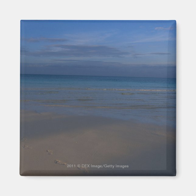 Fotavtryck på strand magnet (Framsidan)