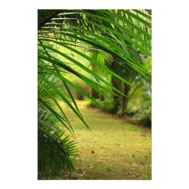 Fotbana Fototryck (Framsidan)