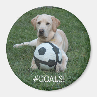 Fotboll, #GOALS! Magnet