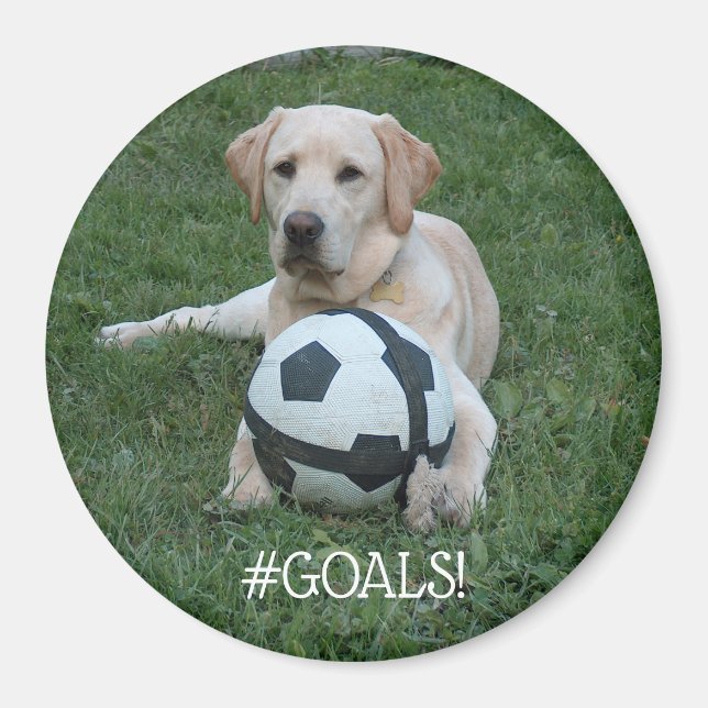Fotboll, #GOALS! Magnet (Framsidan)