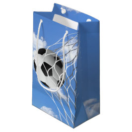Fotboll i netto