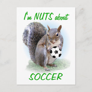 Fotboll Nöt Vykort