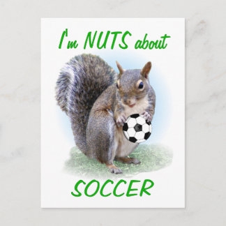 Fotboll Nöt Vykort